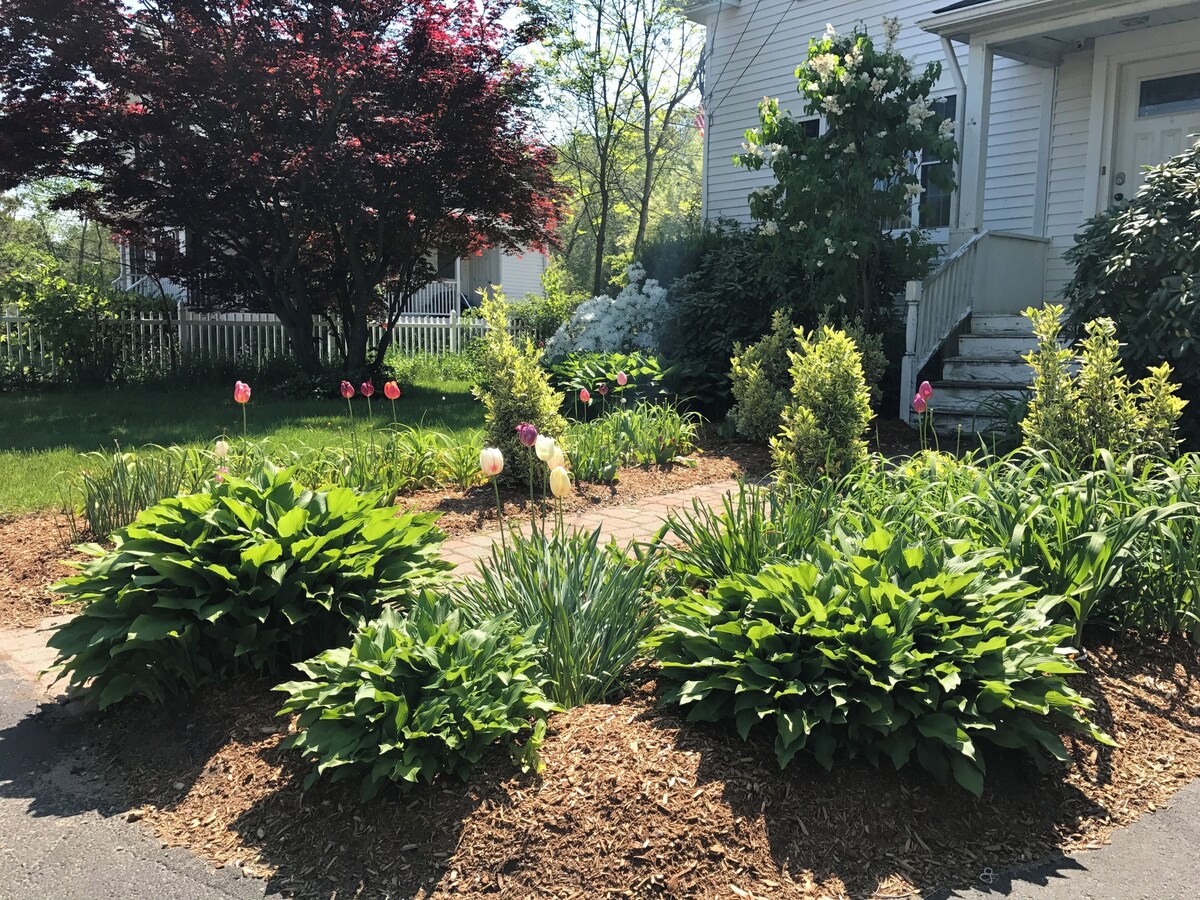 Imagen de perfil del propietario o de la propietaria