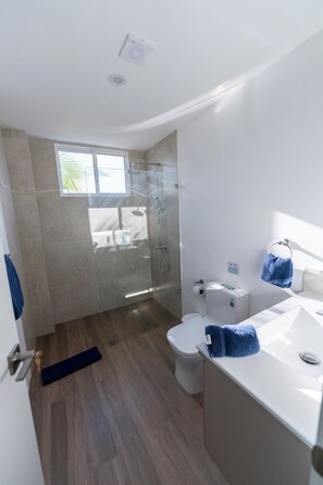 Shower, hair dryer, towels, soap - Marvelous 2-bedroom apartment with AC in Puerto Ayora (Puerto Ayora)