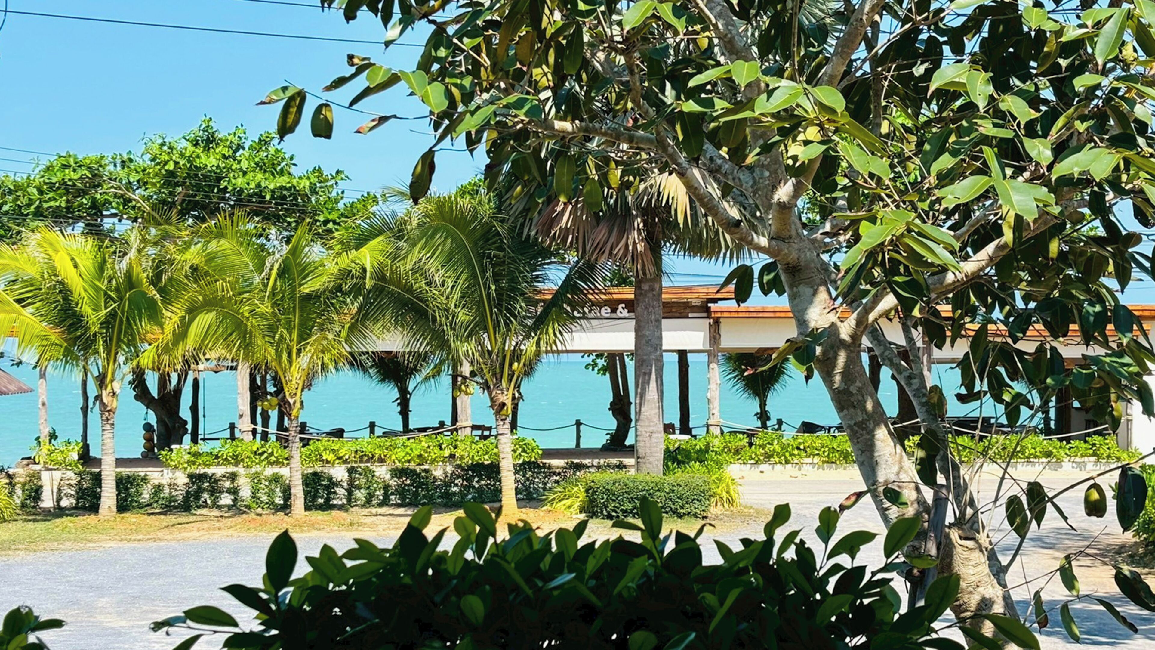 Superior Room, 1 King Bed, Sea View | View from room