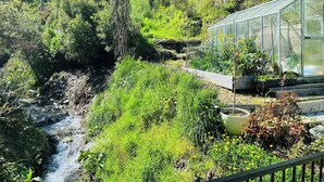 Une serre entourée d’une végétation luxuriante et traversée par un petit ruisseau.