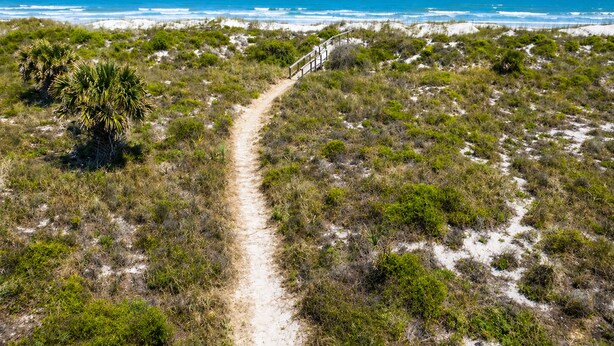 A coastal path leading to the beach. - Oceanfront Home w/ Pool + Private Beach Access (St. Augustine)