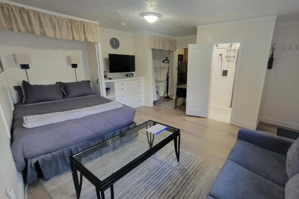 Een slaapkamer met een bed, een televisie, een bureau en een kledingkast.