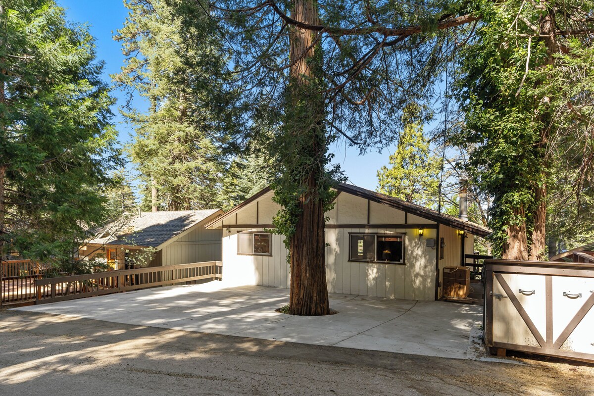 Imagen de perfil del propietario o de la propietaria