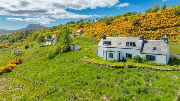 A rural landscape with a house surrounded by lush green fields and a hillside covered in yellow flowers. - Bunloit Combi by Interhome (Drumnadrochit)