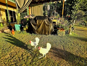 Enceinte de lâhĂ©bergement