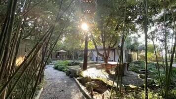 Servei de restauració a l'aire lliure