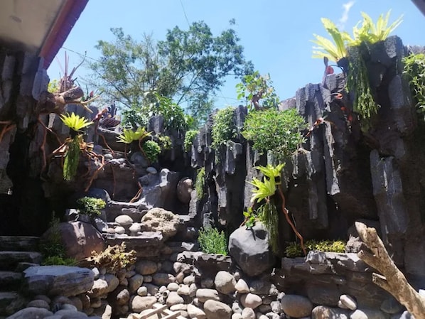 Vista al jardín