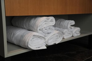 Miscellaneous - Vila L Hotel (Tirana)