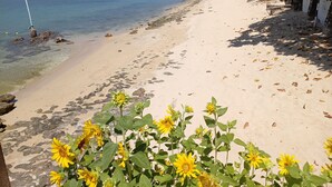 A beach with clear water, a sandy shore, and green foliage. - Sea Panwa Beach (Wichit)