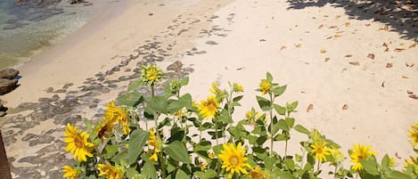 PĂ„ stranden, vit sandstrand, gratis strandcabanor och 5 strandbarer