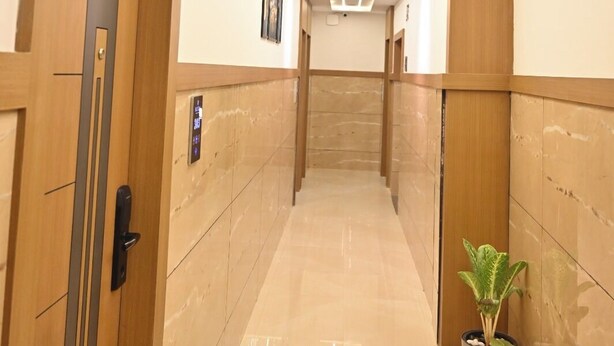 Un pasillo moderno con puertas de madera, una planta en maceta e iluminación empotrada en el techo.