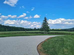 Nicht klassifiziertes Bild, 5 von 15, Schaltfläche