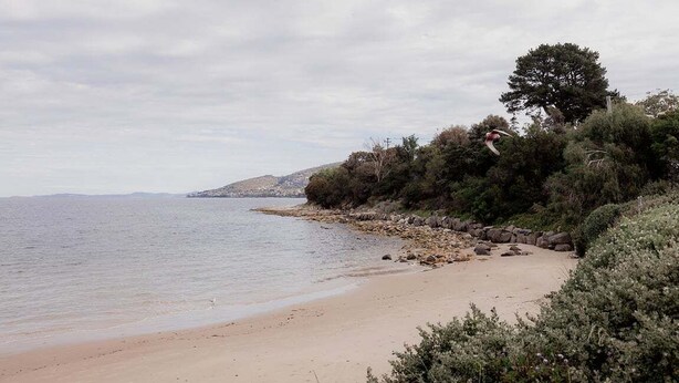 Ein Strand mit felsigem Ufer, einem Baum und Blick auf das Meer.