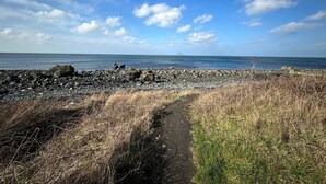 A rocky beach path leading to the sea under a clear sky.