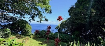 Beautiful 2-Bedroom House close to Matei-Taveuni, perfect for relaxing getaways