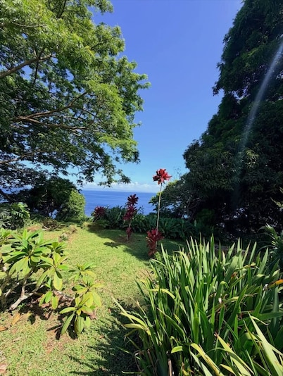 Beautiful 2-Bedroom House close to Matei-Taveuni, perfect for relaxing getaways