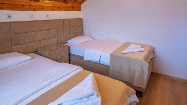 A bedroom with two beds, wooden headboards, and a nightstand. - Hotel Pavlovic (Kovacka Dolina)