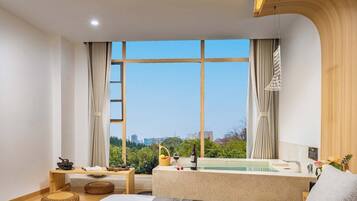 Superior Double Room, City View | View from room