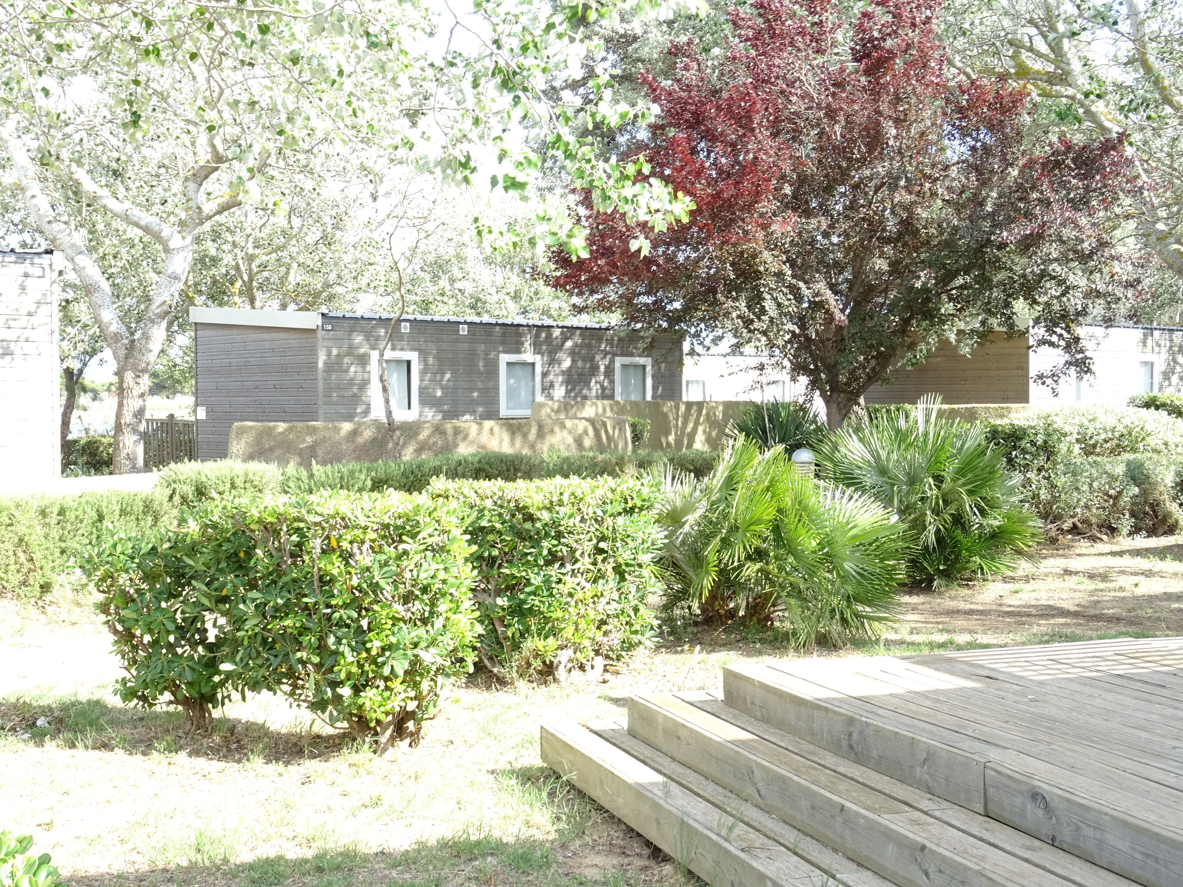 A residential building with a wooden deck and a well-maintained garden with various shrubs and a tree with red leaves.