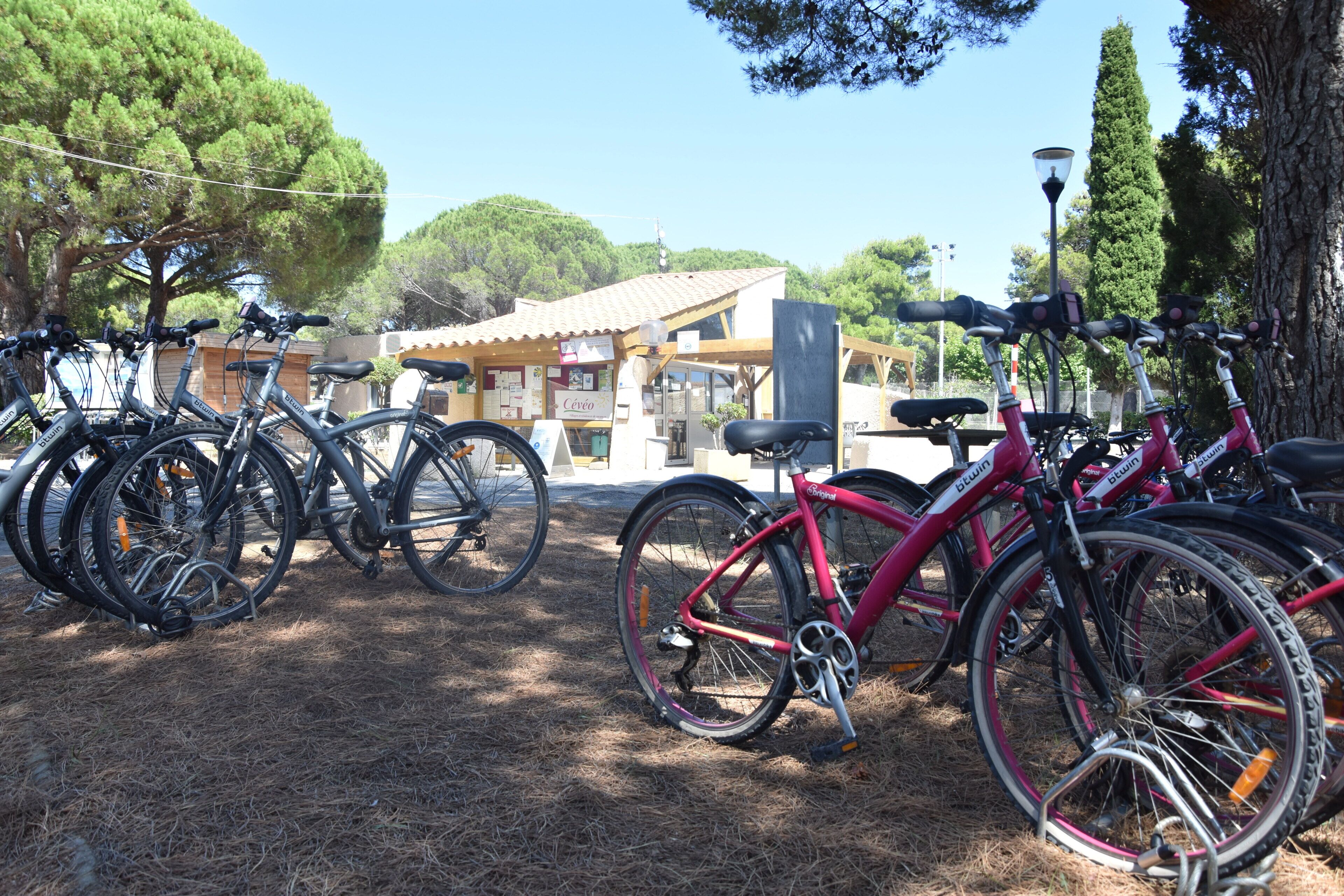 Une rangée de vélos est stationnée dans un espace abrité, avec un bâtiment en arrière-plan.