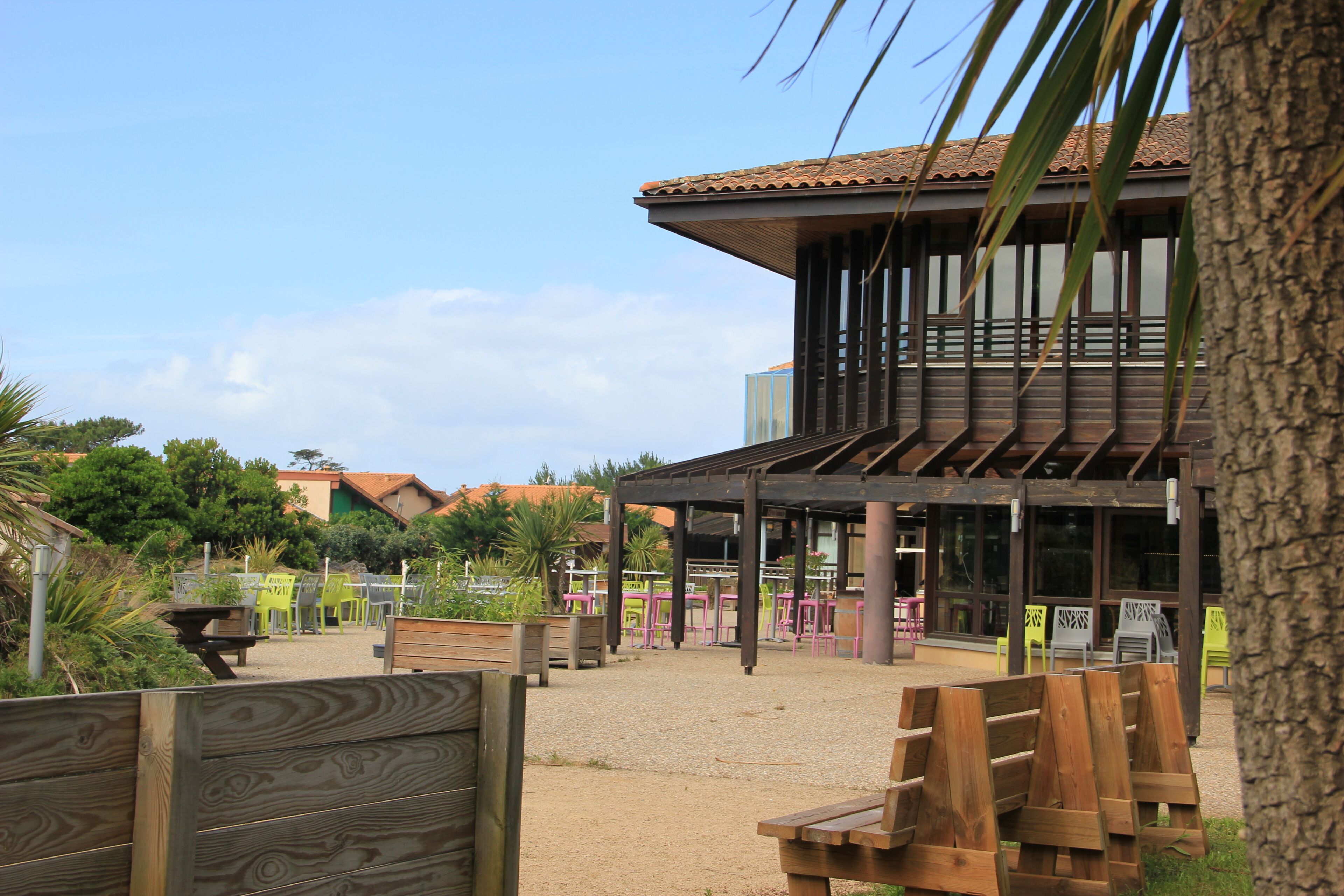 Un espace extérieur abrité avec des bancs et des tables en bois, un bâtiment doté d’un toit en tuiles et un palmier au premier plan.