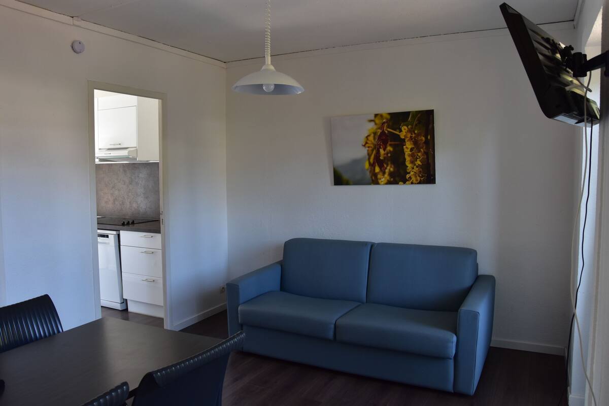 Un salon avec un canapé bleu, une table à manger avec des chaises, un coin cuisine avec des meubles blancs et un luminaire fixé au plafond.