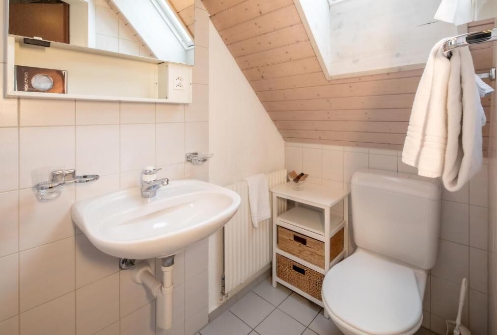 Ein kleines, modernes Badezimmer mit einem weißen Waschbecken, einer Toilette und einer Holzboden.