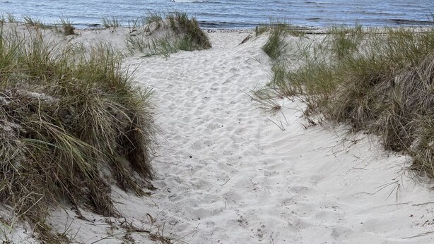 Ein sandiger Strandweg führt zum Meer, umgeben von Gras.