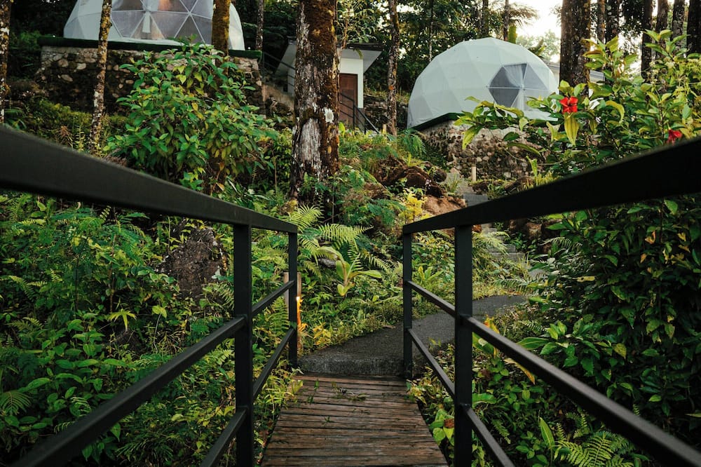 Matahom Forest House by Araw Residences