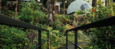 House, 1 Double Bed, Kitchen, Mountain View | View from room