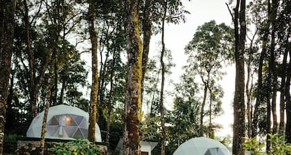 Matahom Forest House by Araw Residences