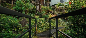 Matahom Forest House by Araw Residences