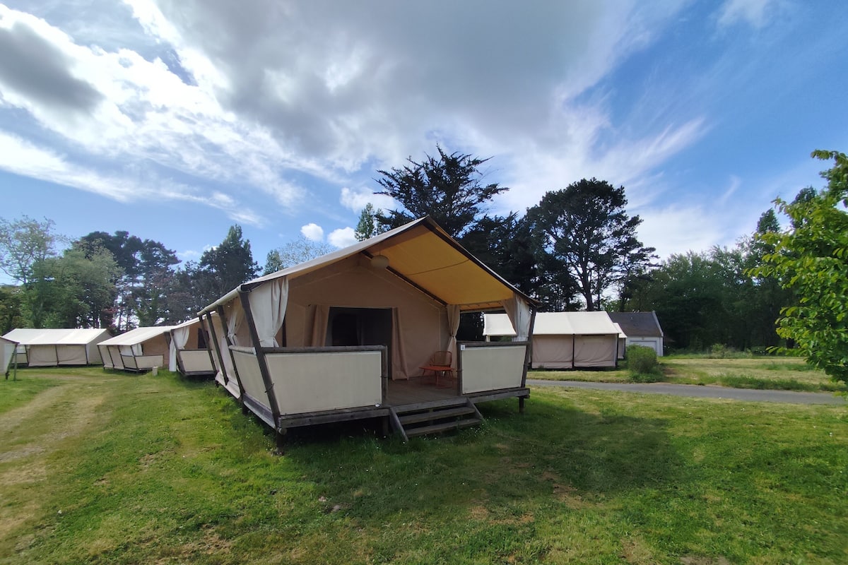 Une série de tentes de camping dotées d’un toit plat et d’un petit espace porche, installées dans un champ herbeux avec des arbres en arrière-plan.