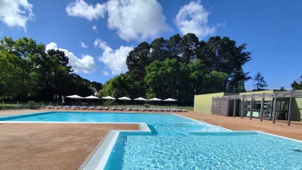 A swimming pool with lounge chairs and umbrellas, surrounded by trees and a clear sky.