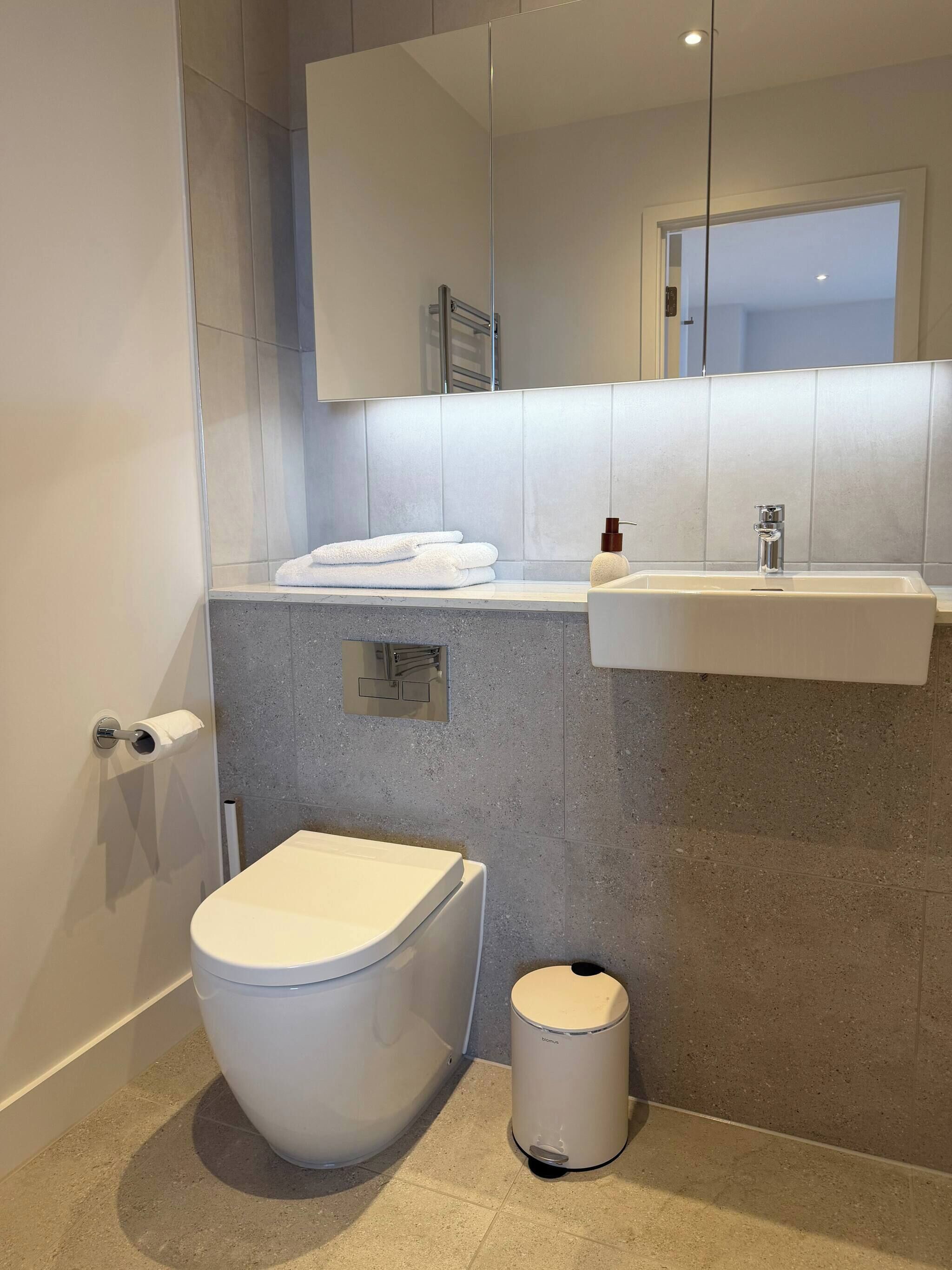 A modern bathroom with a toilet, sink, and mirror.