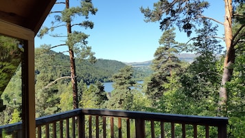 Una terraza de madera con vistas a un lago rodeado de árboles.