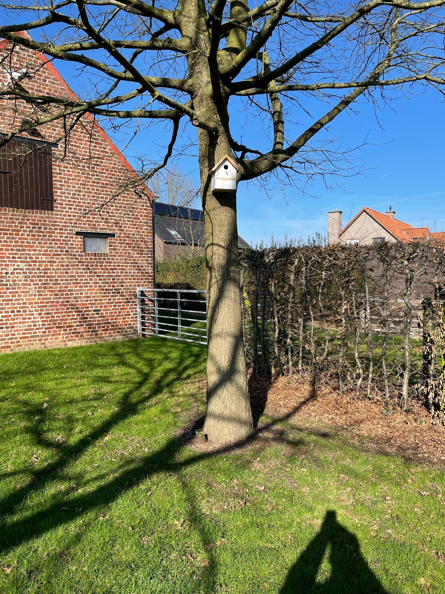 Un arbre avec une nichoir, un bâtiment en briques et une haie.