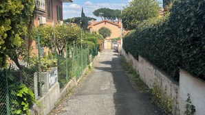 Eine schmale Wohnstraße mit Häusern an beiden Seiten, blauem Himmel und einem weiter entfernten Baum.