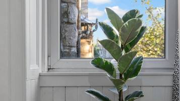 A room with a bed, a window with a view of a stone wall, and a plant in the corner.