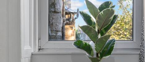 A room with a bed, a window with a view of a stone wall, and a plant in the corner.