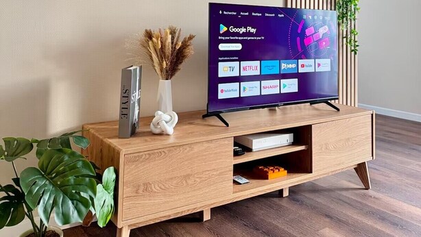 A modern living room with a wooden TV stand, a flat-screen TV displaying Google Play, and a vertical wooden panel with a plant. - Pearly EuroPoint (Saint-Louis)