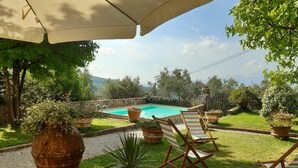 Un espace aménagé au bord de la piscine, avec une terrasse en bois, des chaises longues et des plantes en pot.