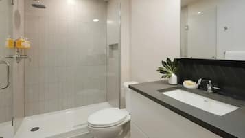 Hair dryer, towels, soap, shampoo