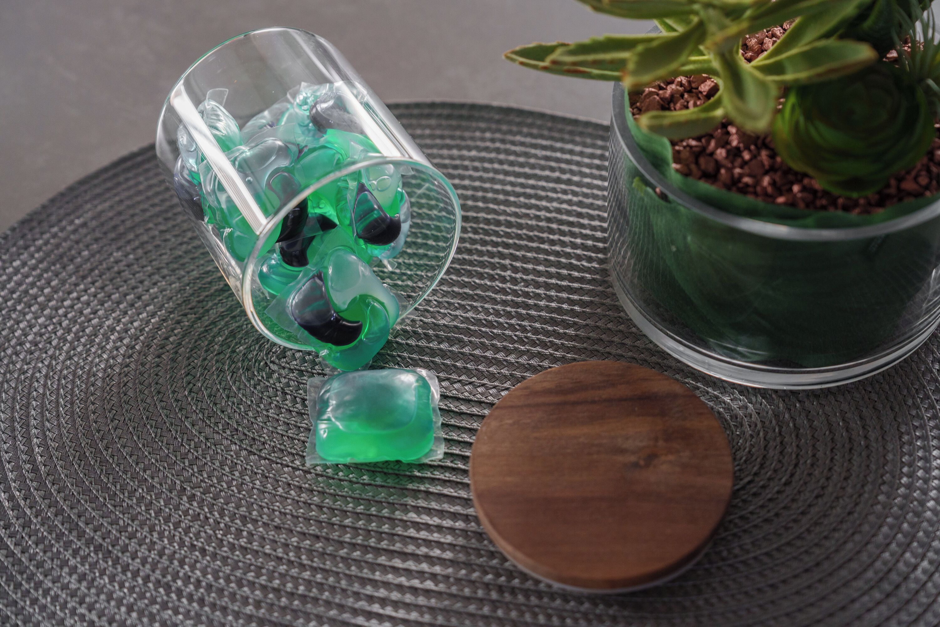 A glass container with green liquid, a wooden lid, and a potted plant with green leaves.