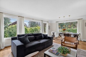 TV, peis og bøker