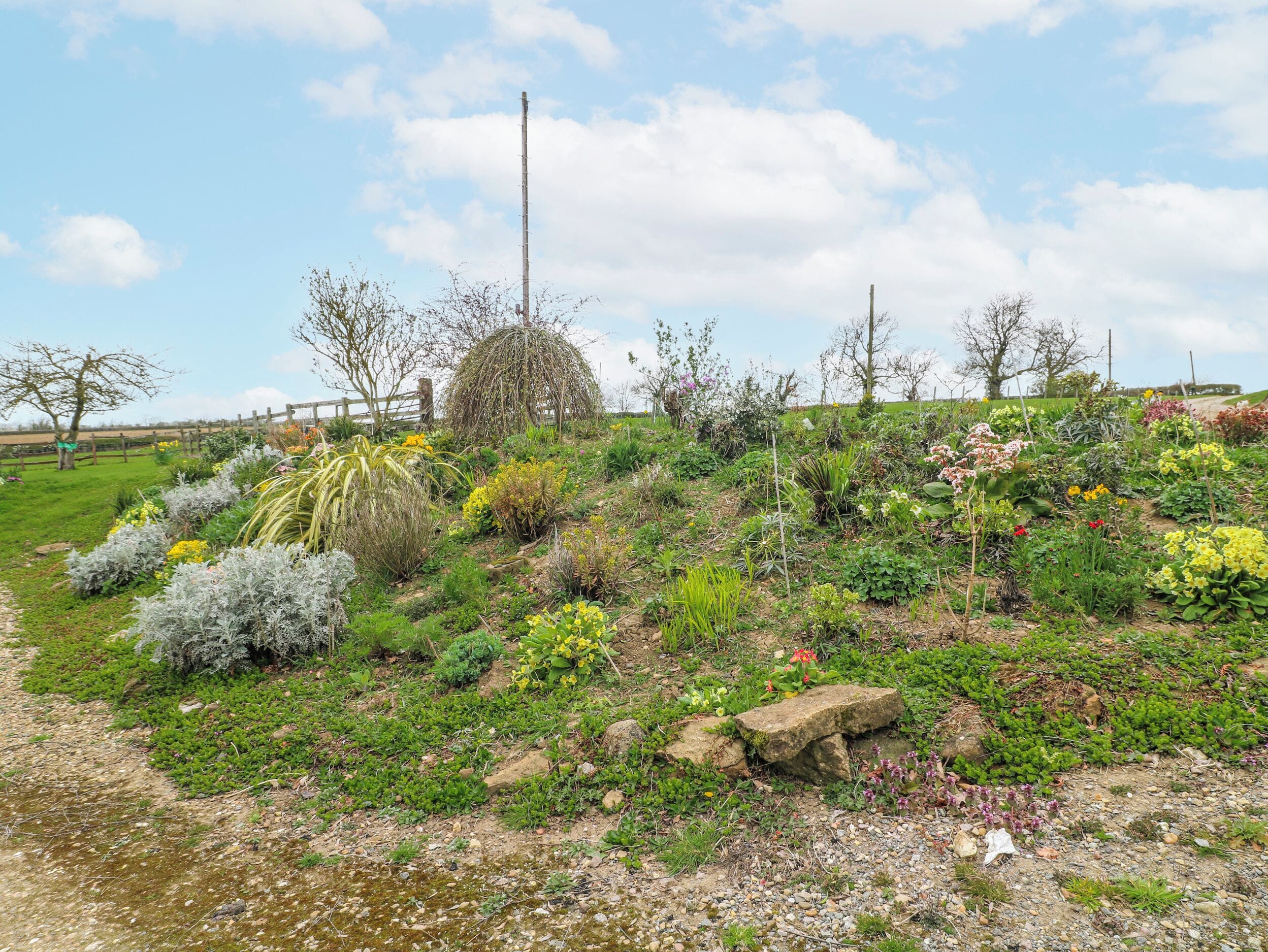 A garden with various plants and a wooden fence.