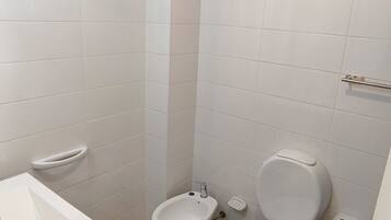 Hair dryer, bidet, soap, toilet paper