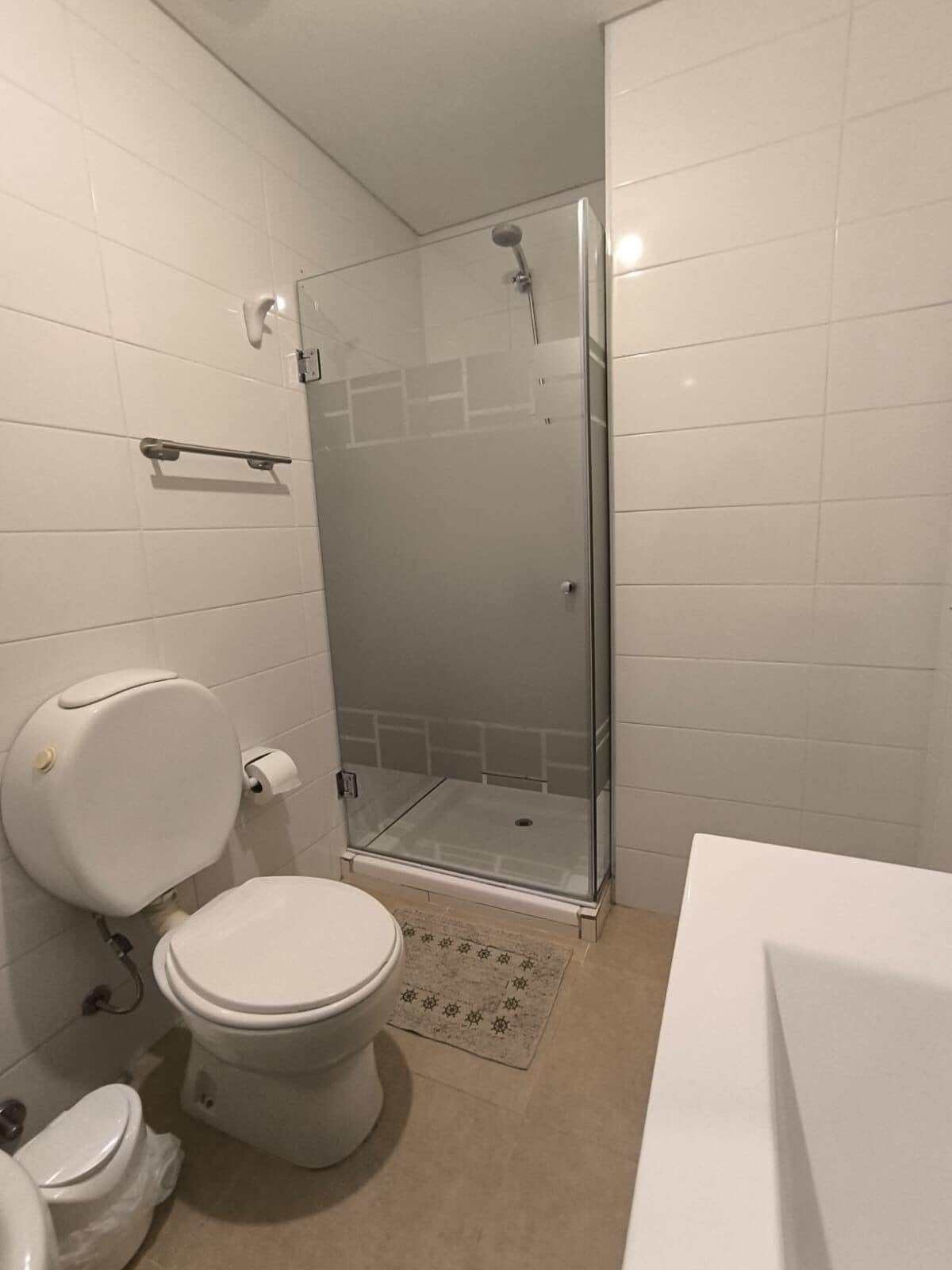 Hair dryer, bidet, soap, toilet paper