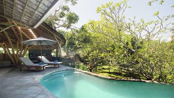 Deluxe-Villa | Pool | Außenpool