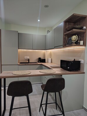 Private kitchen - Cozy studio apartment in delightful Kotor with free parking (Kotor)